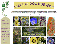 Tablet Screenshot of diggingdog.com